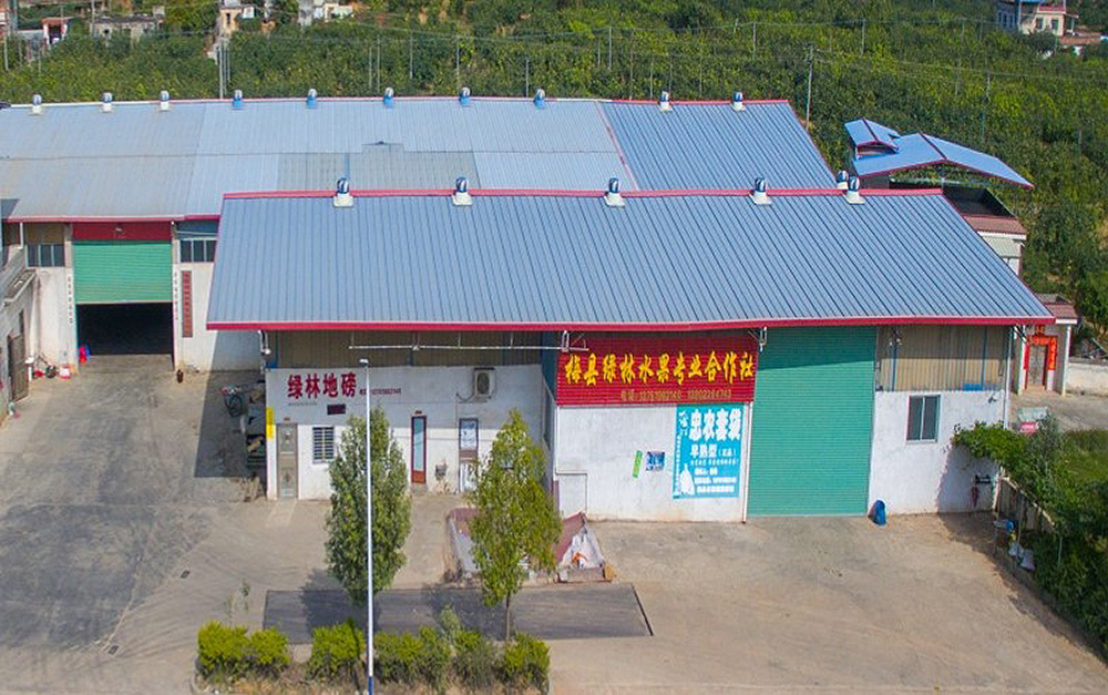 微信图片_20250210082938.jpg